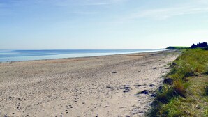 Une plage de sable avec une zone herbeuse sur la droite et un ciel dégagé.