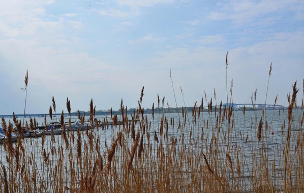 A body of water with tall grasses in the foreground and a bridge in the background. - Ferienhaus 3 Altefähr (Altefähr/Rügen)