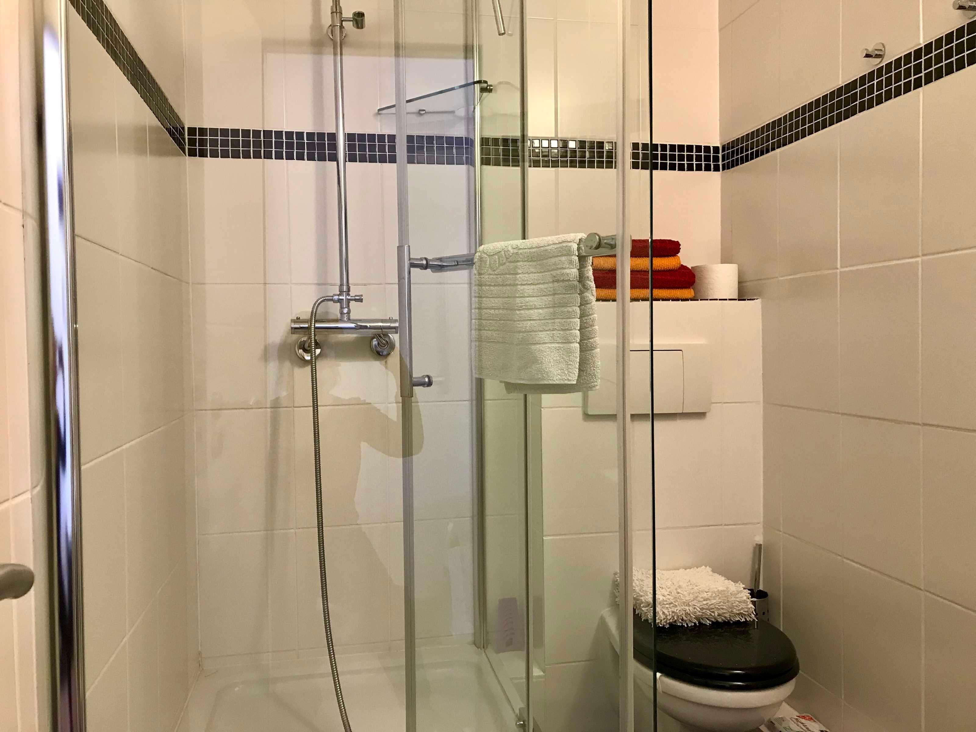 Shower, hair dryer, towels