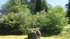 Ein Garten mit verschiedenen Bäumen und einer Felsformation.