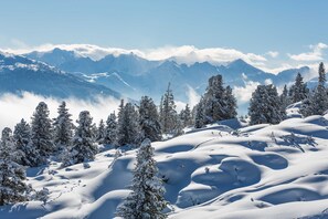 Miscellaneous - Double room Hochzillertal 1 - Aparthotel **** AlpTirol (Kaltenbach)