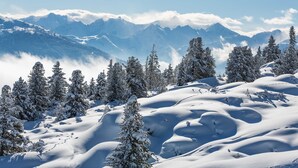 Eine verschneite Berglandschaft mit schneebedeckten Bäumen und Bergen in der Ferne.