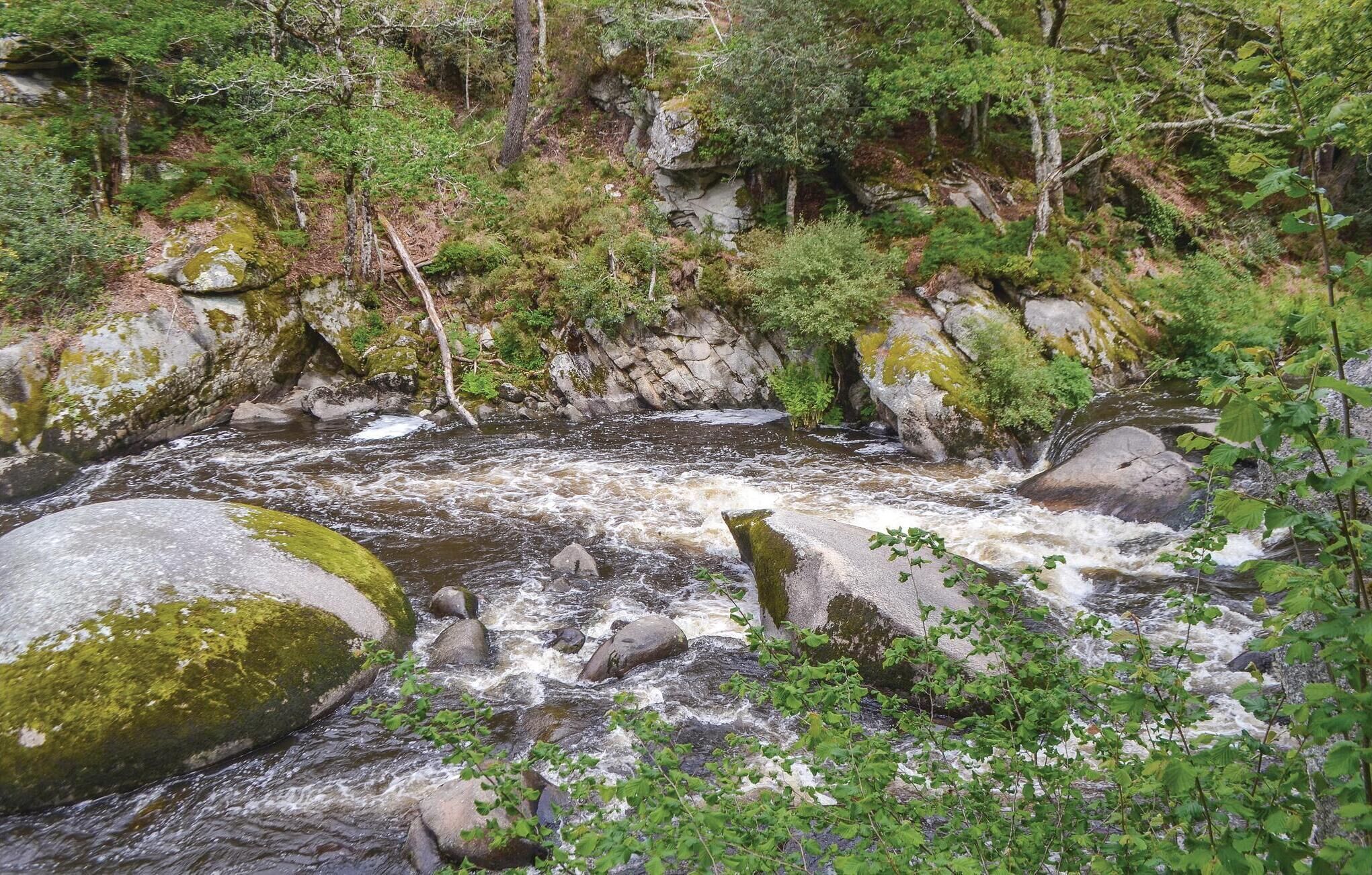 A river flowing through a rocky terrain with dense greenery and trees.
