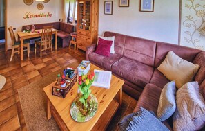 TV, fireplace, DVD player - Ferienhaus 10 in Thalfang (Thalfang)