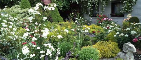 DĂ©tail de lâextĂ©rieur