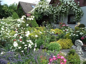 Unclassified image, 5 of 18, button