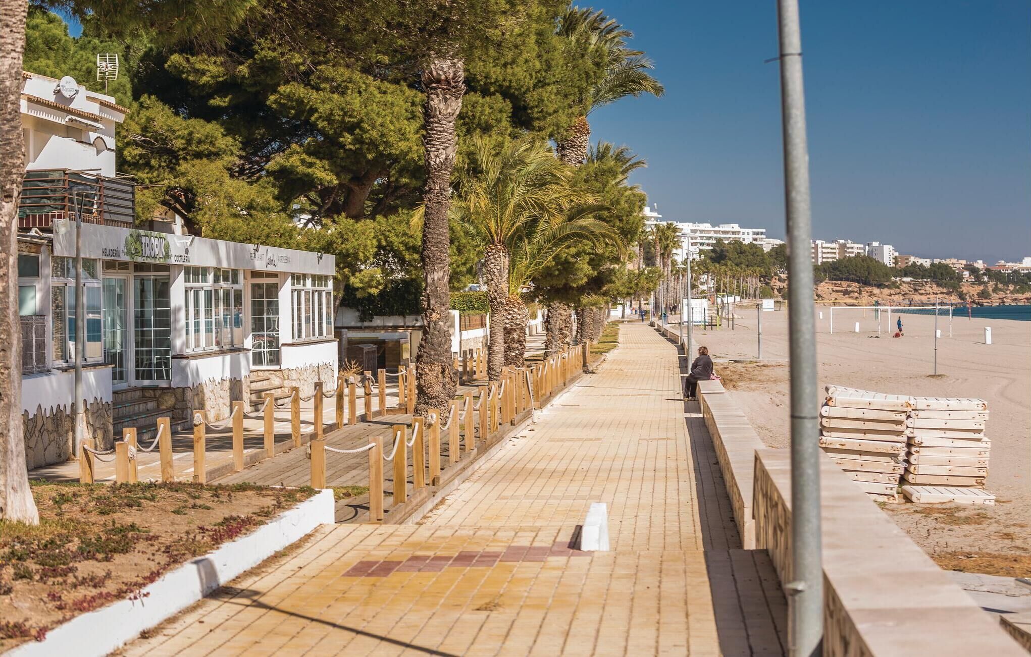 Une promenade en bord de mer avec une jetée en bois, des palmiers et une plage en arrière-plan.