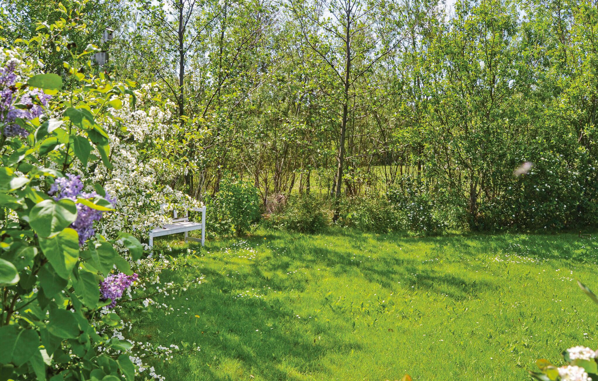A grassy outdoor area with a white bench and dense green foliage.