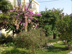 Overnatningsstedets område