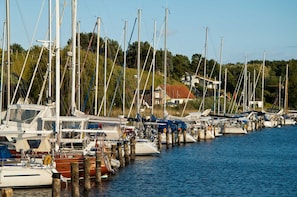 Ein Yachthafen mit mehreren Booten, die an hölzernen Stegen liegen, umgeben von Grünflächen und Häusern.
