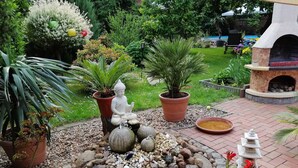 A garden with a Buddha statue, a stone fountain, and a stone lantern. - Vacation apartment Lotti, Germany (Lutherstadt Wittenberg)