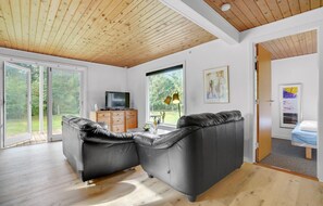 Fernseher, Kamin