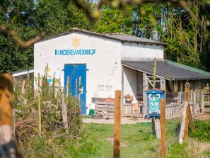 Unclassified image, 5 of 20, button - Twin Room 4 - turquoise - Holiday on the organic farm (Schwerin)