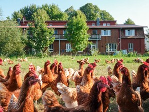 Overnattingsstedets uteområder