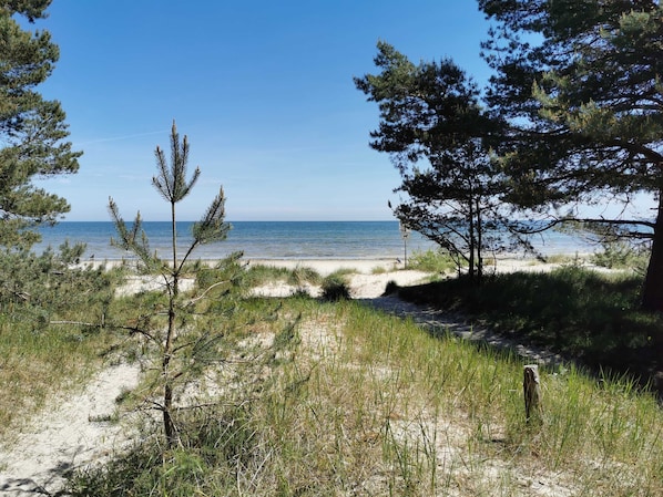 In StrandnÀhe