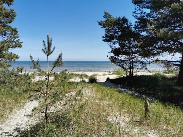 Una spiaggia nelle vicinanze
