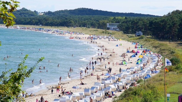 A beach with rows of beach chairs and umbrellas, a sandy shore, and a forested hill in the background. - Sun view with sun terrace 5 min to the Baltic Sea and beach (Sellin)