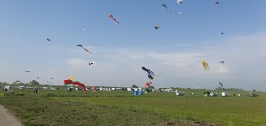 A grassy field with multiple kites flying in the sky.