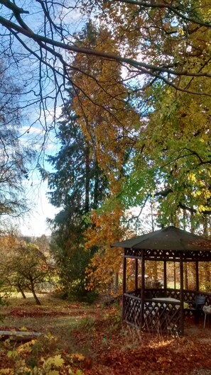 Botó d’imatge sense classificar, 4 de 23