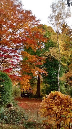 Botó d’imatge sense classificar, 3 de 23