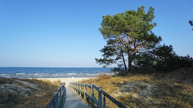 A wooden pathway leading to a beach with a clear view of the ocean and a lone pine tree. - Curr. DG4 - Uns Hüsung (Heringsdorf)