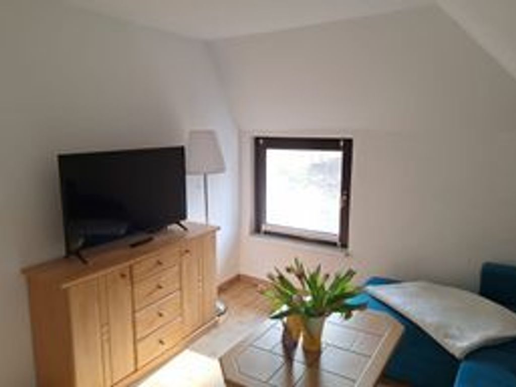 Una habitación con televisión sobre un mueble de madera, ventana con vistas, una planta y un sofá azul.
