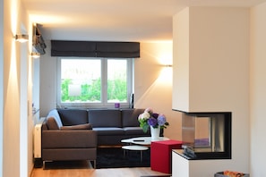 Télévision, cheminée