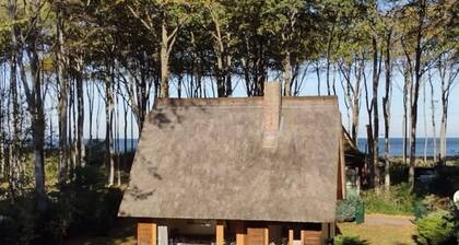 Ferienhaus am Strand - GM 69668 - Strandhaus