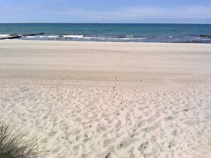 Una playa con arena y el océano al fondo.