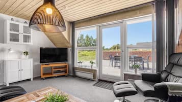 Een televisie, een open haard en een dvd-speler