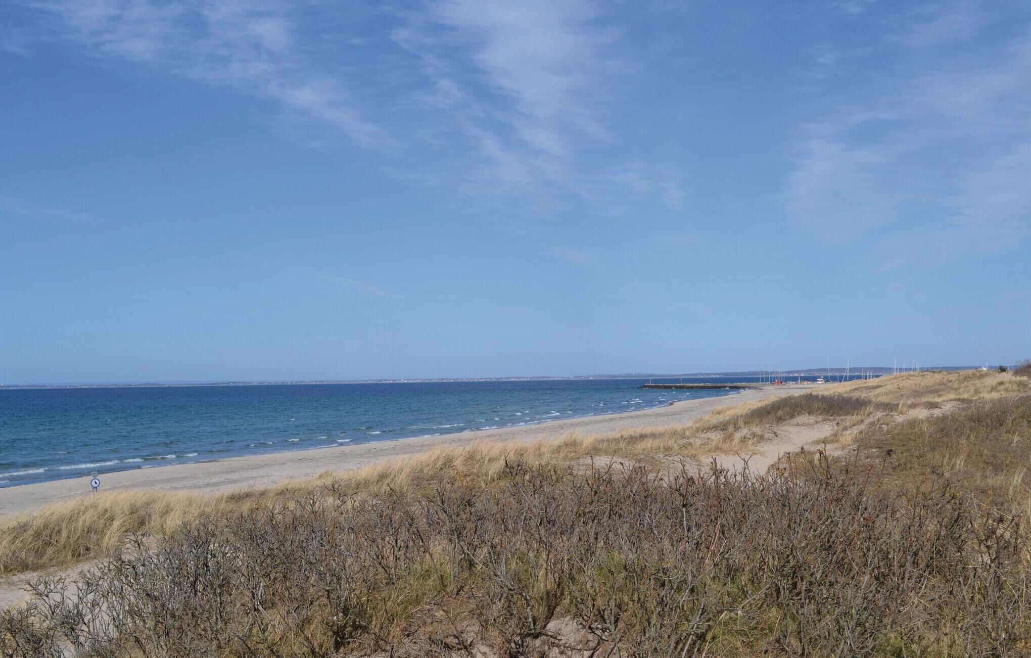 Une plage avec un ciel dégagé, un rivage sablonneux et une végétation clairsemée.