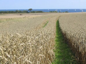 Unclassified image, 5 of 21, button