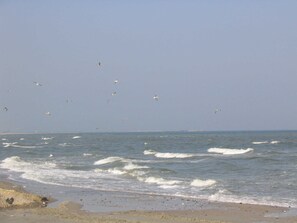 Unclassified image, 3 of 21, button