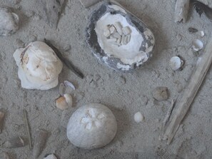 Unclassified image, 5 of 21, button