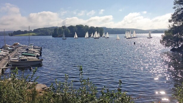 A marina with multiple sailboats docked and sailing on a calm lake.