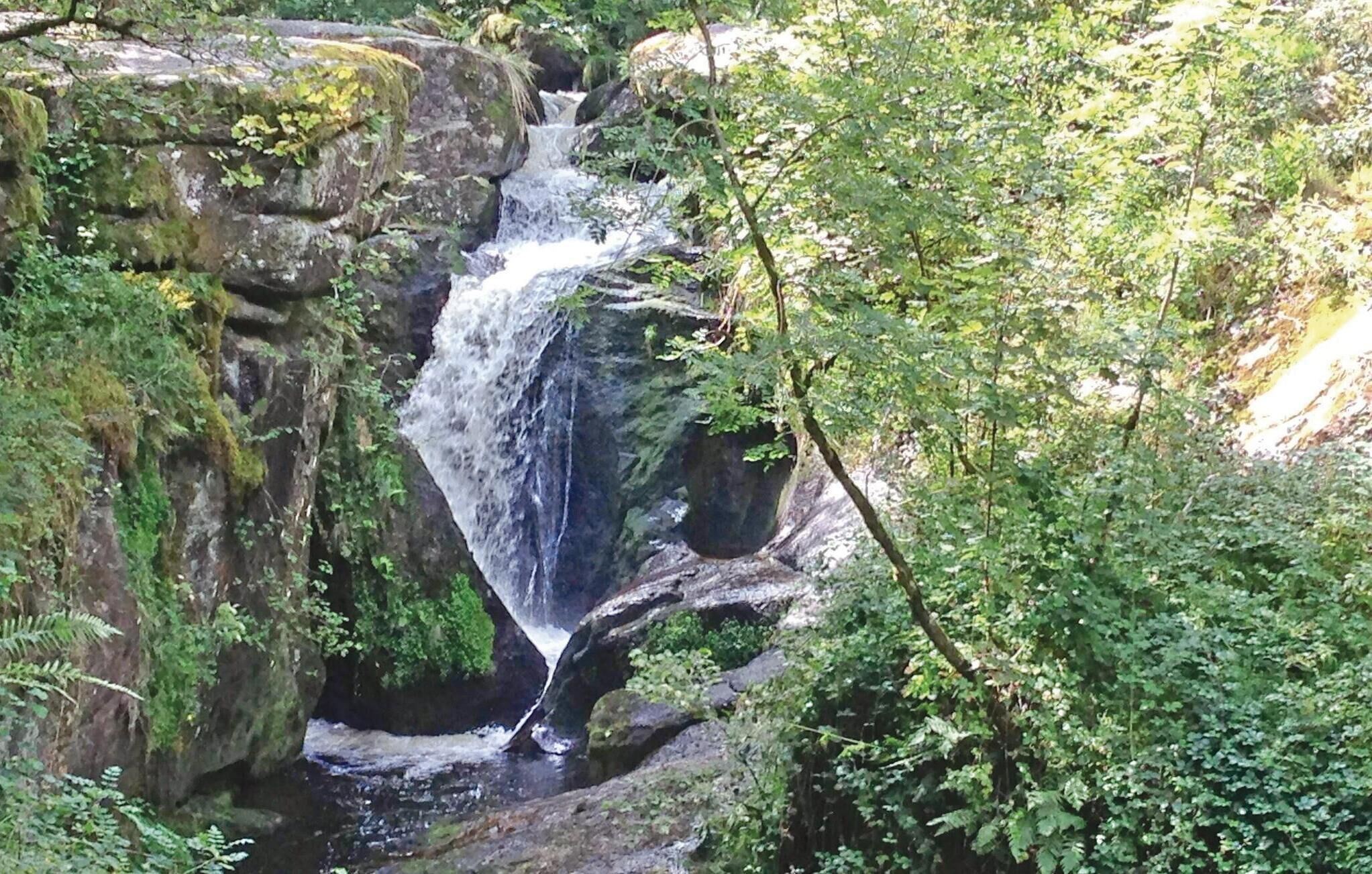 Uma cascata cercada por vegetação exuberante e terreno rochoso.