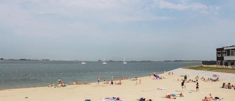 Playa en los alrededores y pesca