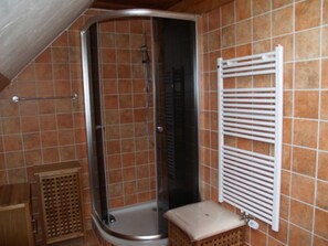 Shower, hair dryer, towels