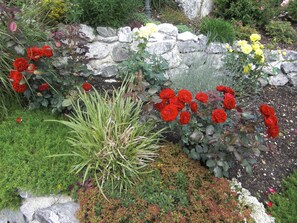 A garden with red and yellow flowers, a stone wall, and various green plants. - Apartment am Rosengarten - Rosengarten (Füssen)