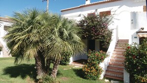 A white building with a tiled roof, a palm tree, and a staircase leading to the entrance.
