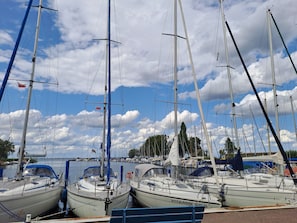 A marina with several sailboats docked.