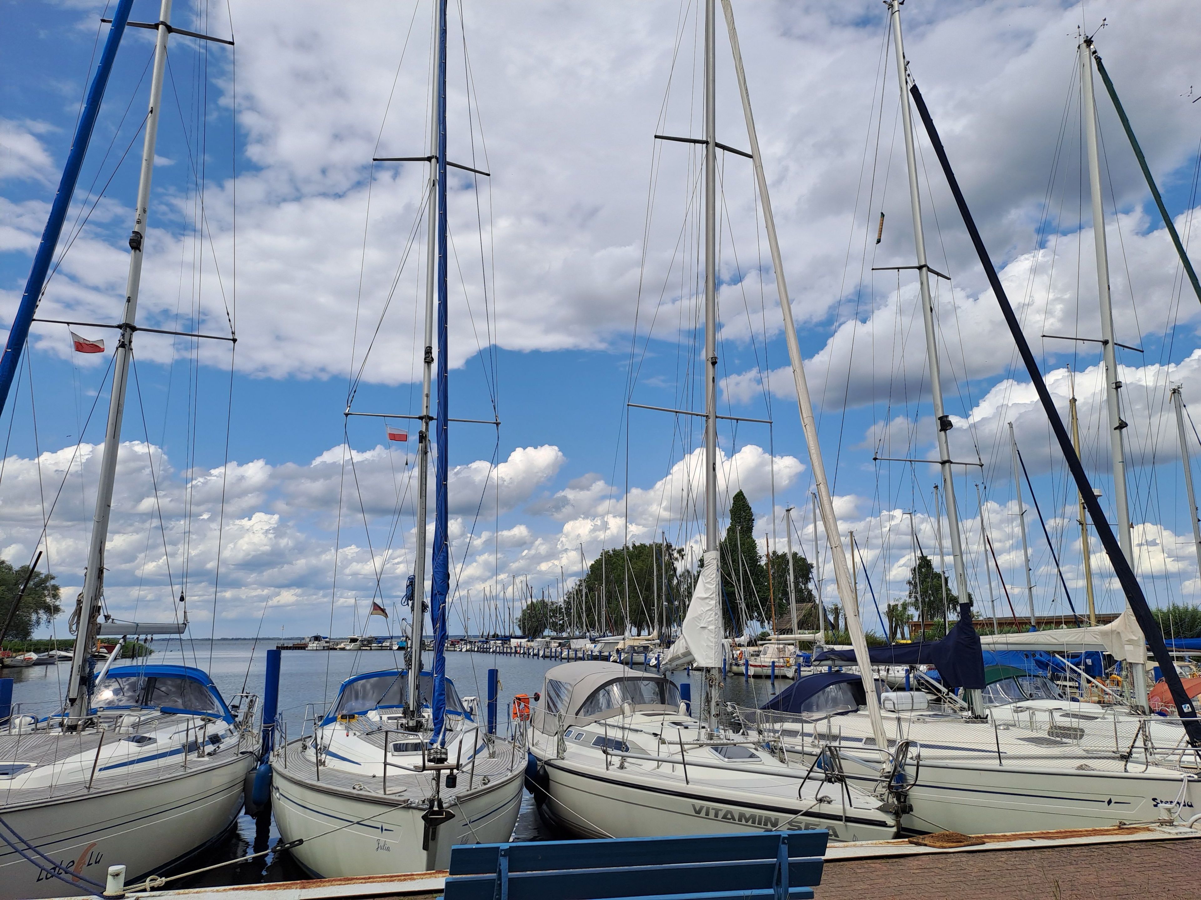 Ein Yachthafen mit mehreren dort liegenden Segelbooten.