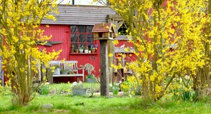 Unclassified image, 2 of 62, button