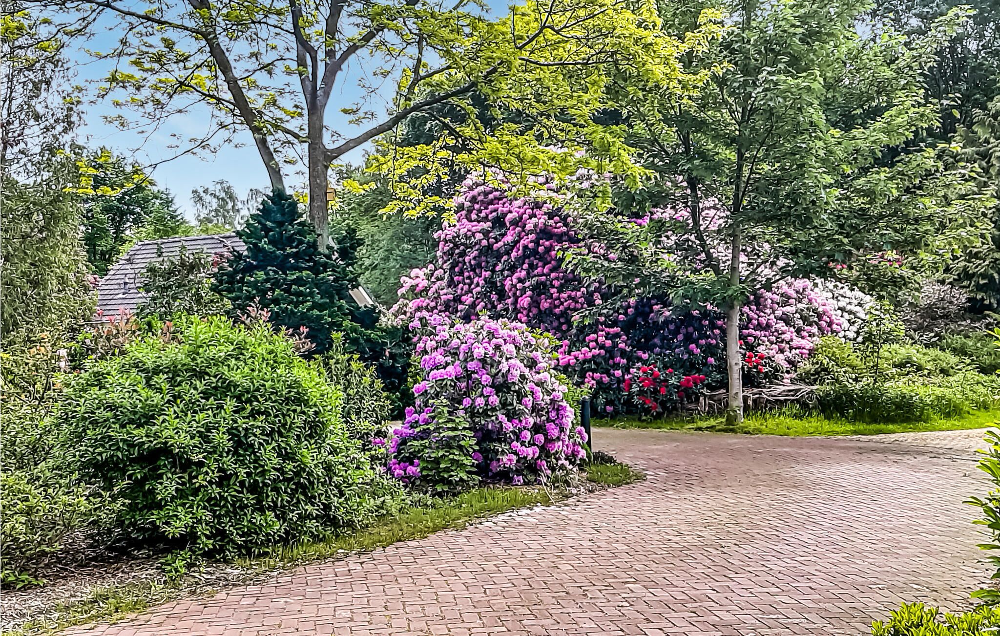 A paved pathway surrounded by lush greenery and flowering trees.