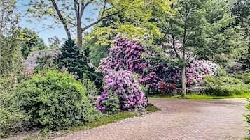 A paved pathway surrounded by lush greenery and flowering trees.