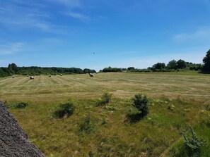 Imagem sem classificação, 4 de 32, botão