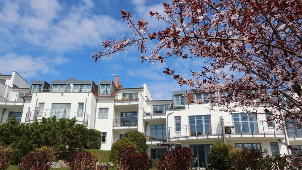 A multi-story residential building with balconies, surrounded by greenery and flowering trees.