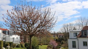 A residential area with modern houses, a well-maintained garden, and a clear sky.