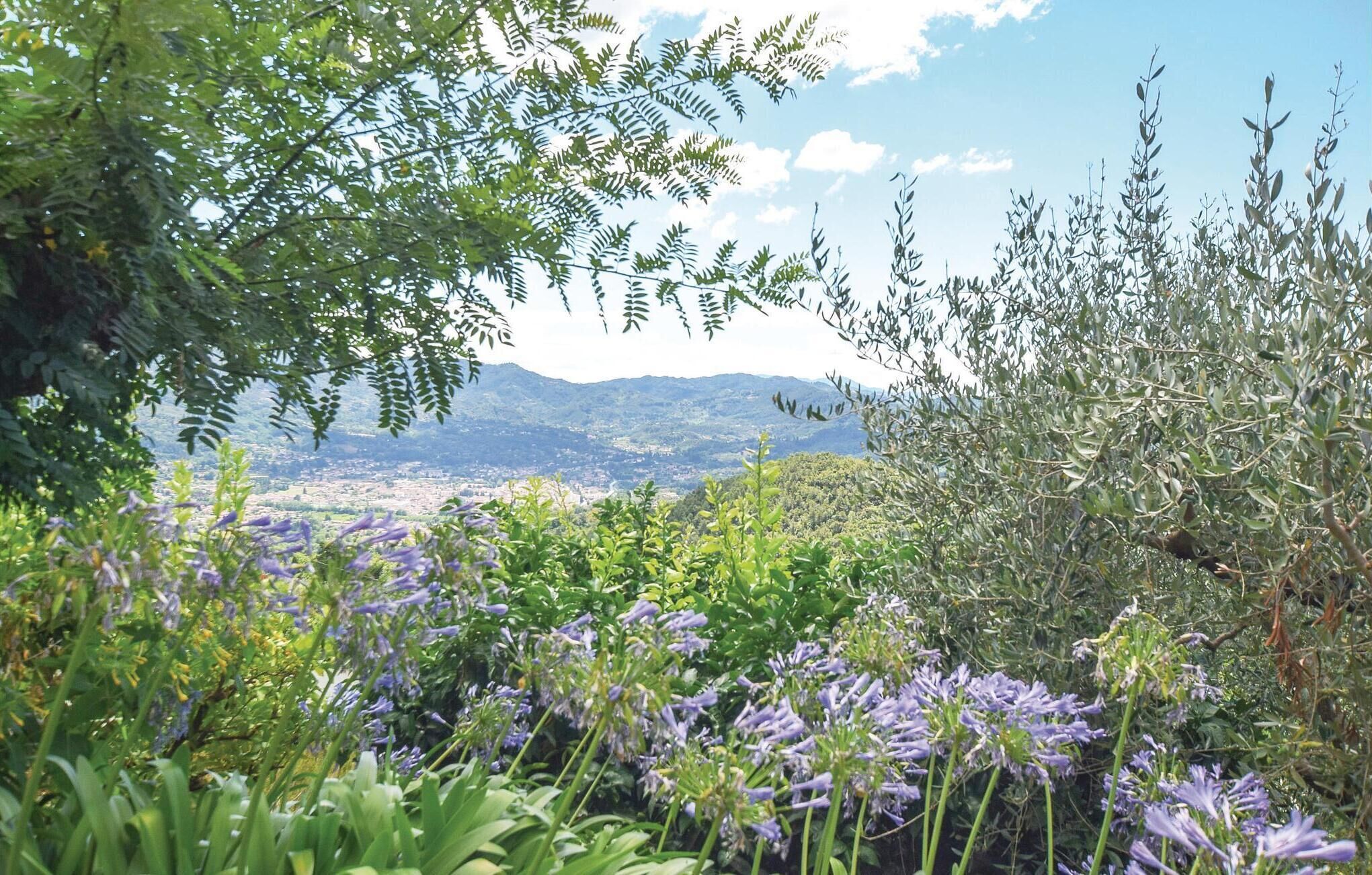 A natural landscape with a variety of vegetation and a distant view of a town and mountains.
