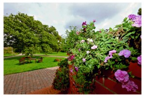 Unclassified image, 3 of 9, button - Bernstein - Vacation Rentals in Sun House (Putbus)